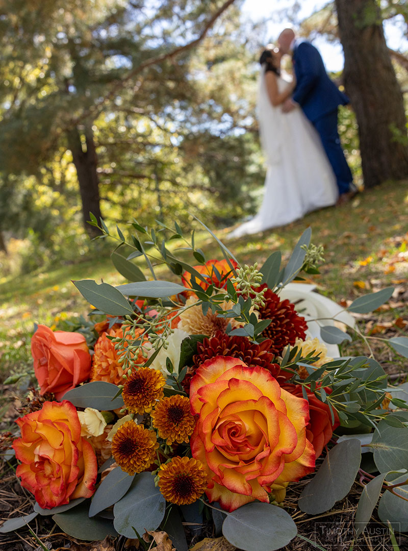 Central Park of Roseville Wedding